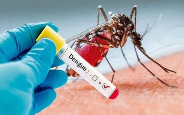 fast-spreading-dengue-test-results-should-be-given-within-6-hours