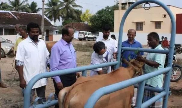 a-veterinary-dispensary-will-be-opened-in-a-town-where-there-are-3000-cattle