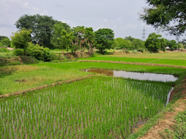 grant-permission-for-granite-quarries-again-in-madurai-district