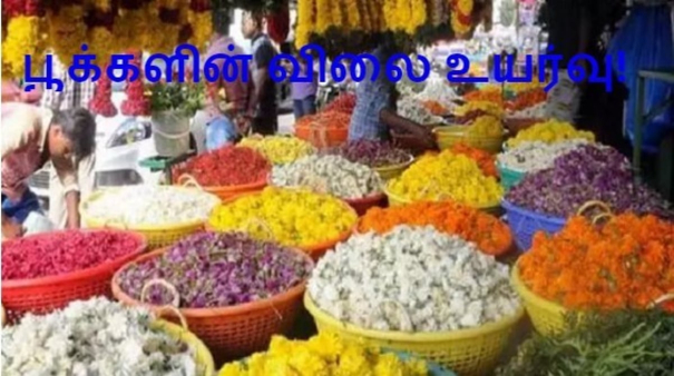 a-huge-increase-in-the-price-of-flowers-on-the-occasion-of-ayudhapuja-2