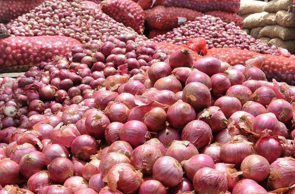 central-government-decides-to-release-onion-as-prices-soar-high