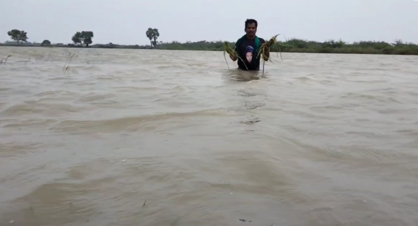 crops-submerge-in-water-due-to-heavy-rains-in-nagai