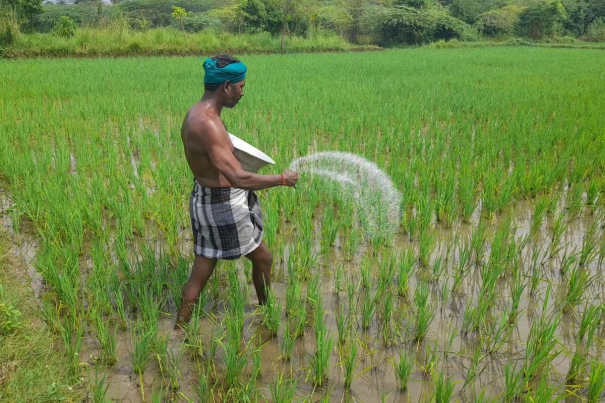 today-is-the-last-day-for-farmers-to-apply-for-crop-insurance