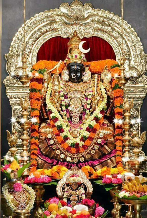 65-lakhs-in-money-donation-at-kanchipuram-kamachi-amman-temple