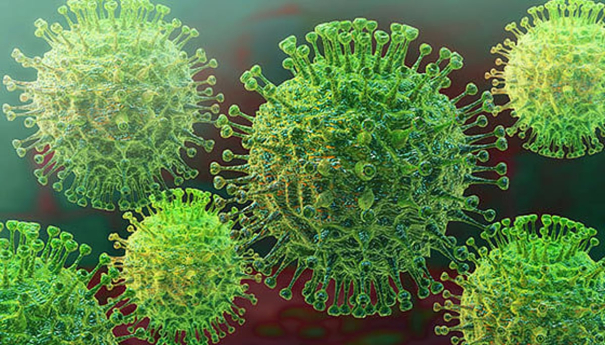 no-new-virus-cases-chinese-government-explanation-to-world-health-organization