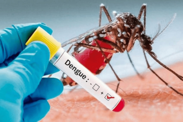 pudukottai-screams-dengue-more-than-50-people-confirmed-in-one-day