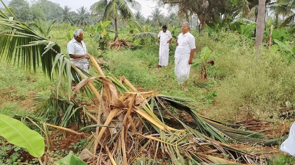 mettupalayam-elephant-damage-farm-land