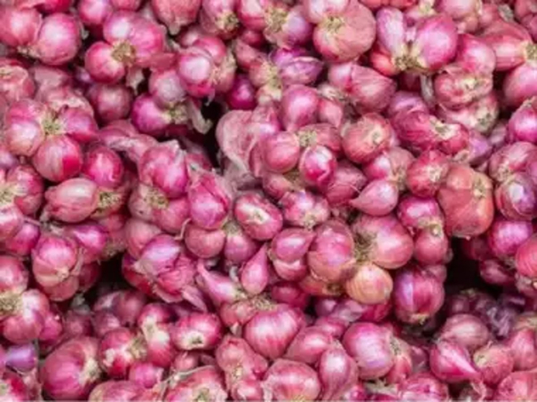 onion-prices-fall-in-dindigul