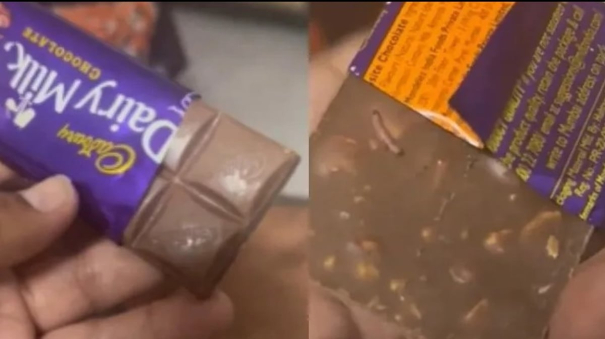 live-worm-in-dairy-milk-chocolate