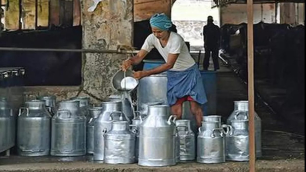 himachal-pradesh-hikes-msp-for-milk