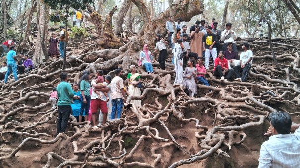 tourists-increased-for-guna-caves-in-kodaikanal