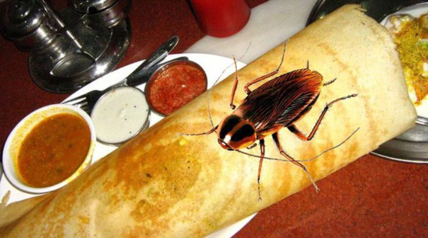 shocking-video-of-eight-cockroaches-in-a-dosa-served-at-famous-eatery