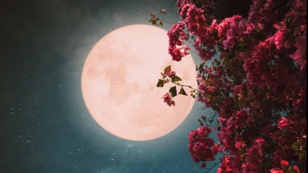 science-and-spiritual-background-of-april-pink-moon