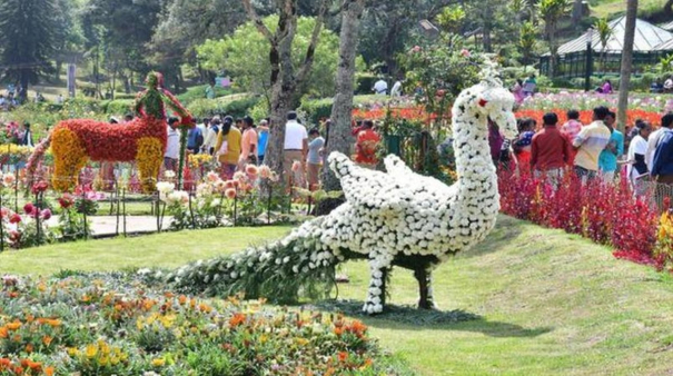 kodaikanal-summer-festival-flower-show-starts-may-17