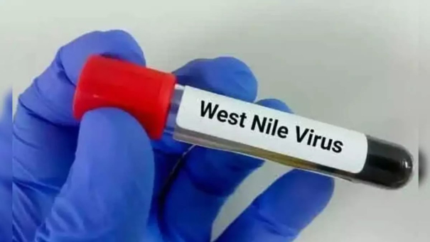 minister-subramanian-informed-that-there-is-no-west-nile-virus-in-tamil-nadu