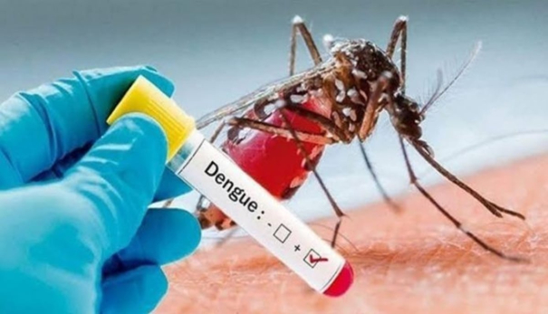 dengue-increase-in-tamil-nadu-important-announcement-issued-by-the-public-health-department