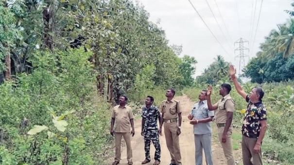 soon-steps-to-raise-power-lines-on-anaimalai-tiger-reserve-forest