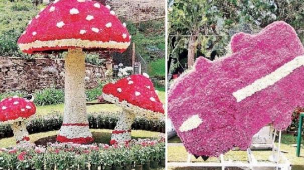 additional-decorations-at-udhagai-flower-show-to-attract-tourists