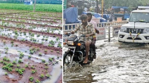 rain-continued-on-nellai-tenkasi-and-tuticorin-districts