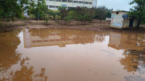 a-pond-cut-by-students-in-the-tirupur-government-college-campus