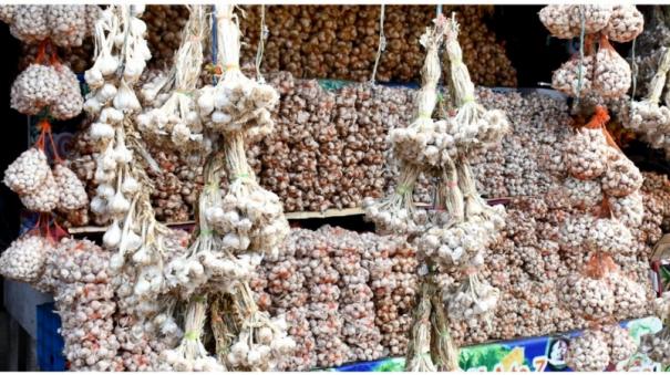 kodaikanal-hills-garlic-prices-fall-farmers-worried