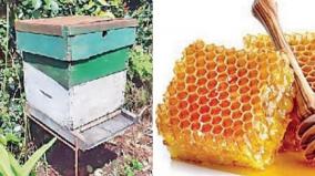 Madurai Agricultural Science Institute to Create Honey Entrepreneurs!