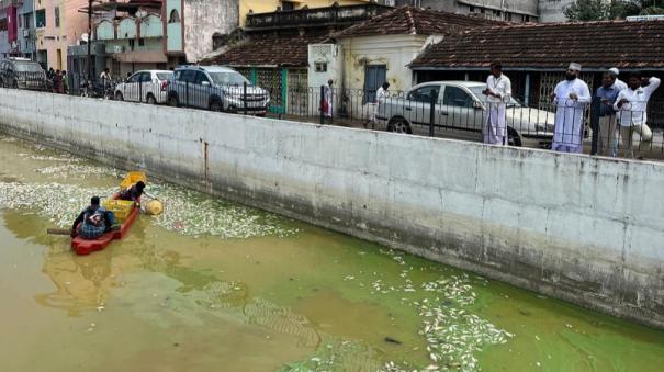 dead-fish-floating-on-nagore-dargah-pond-devotees-suffer-due-to-stench