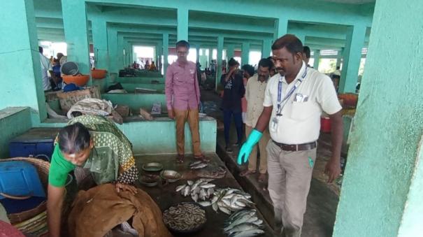 processed-fish-destroyed-in-rameshwaram-fish-market