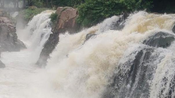 water-flow-increased-in-hogenakkal-cauvery