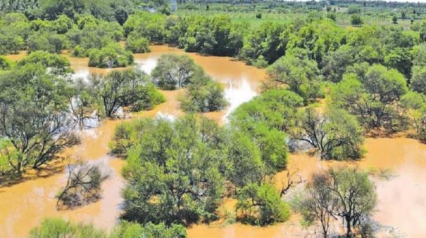 kurichikulam-is-full-after-52-years-due-to-continuous-rains-near-uthukuli