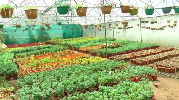 coonoor-sims-park-gearing-up-for-150th-year-fruit-fair