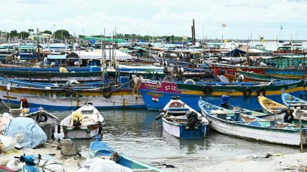 fishing-industry-paralyzed-on-tuticorin-fish-shortage-chicken-egg-prices-rise