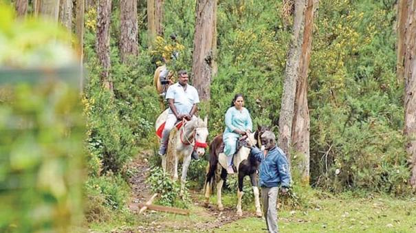 are-horse-riders-trespassing-in-udhagai