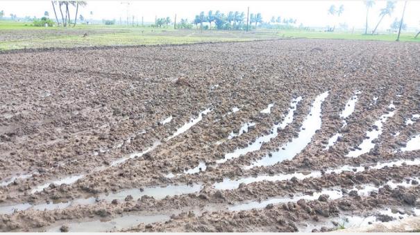 agriculture-works-affected-in-tenkasi-due-to-rains