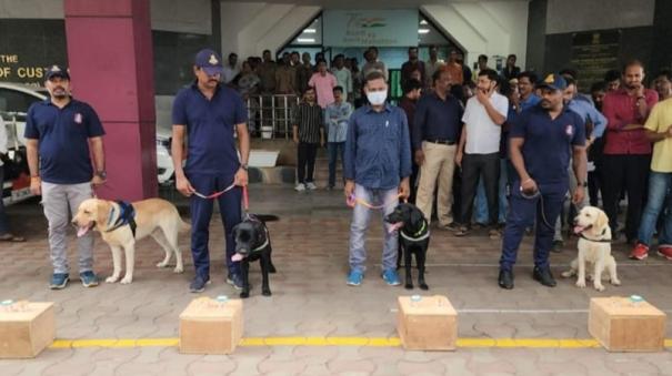 2-labradors-added-in-chennai-aiport
