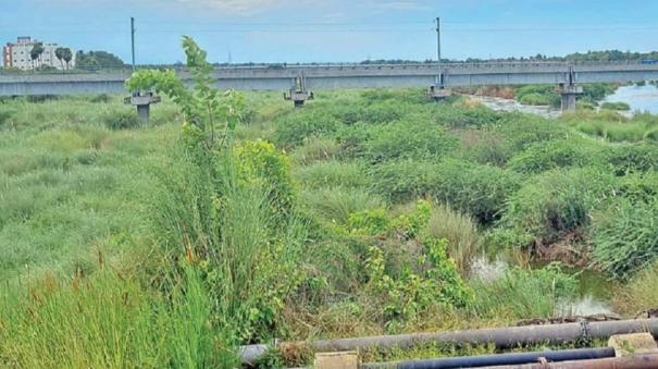 vaigai-river-has-lost-its-luster-on-manamadurai