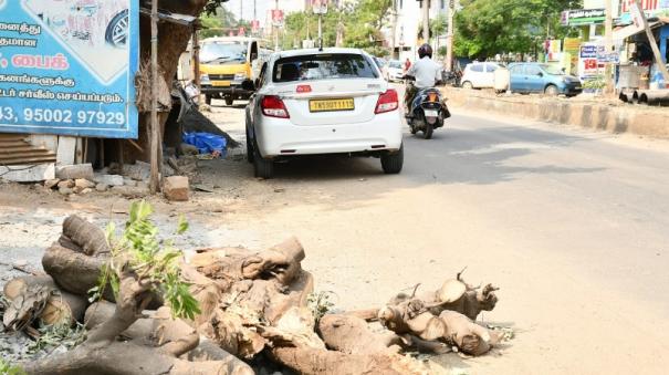 hot-roads-emerging-on-madurai-unauthorized-felling-of-trees-on-the-rise