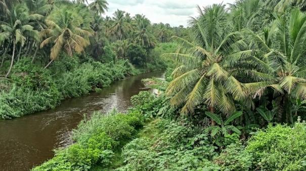 tributaries-reduced-on-width-due-to-encroachments-interruption-of-water-flow-to-vaigai-dam