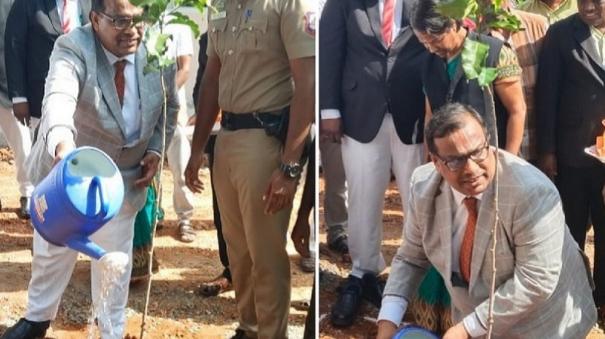 world-environment-day-50-saplings-planted-on-court-premises