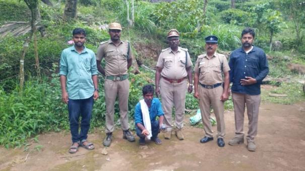 main-culprit-arrested-involved-in-wild-cow-hunting-in-gudalur