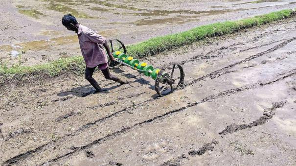 shortage-of-agricultural-labour-in-palani