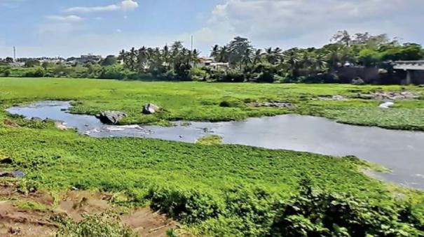 when-will-bhavani-river-which-is-turbid-with-sewage-be-cleaned