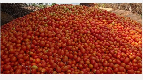 tomatoes-wholesale-marketing-affects-consumers