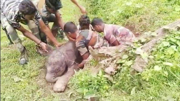a-elephant-fell-into-a-canal-and-was-rescued-in-mudumalai