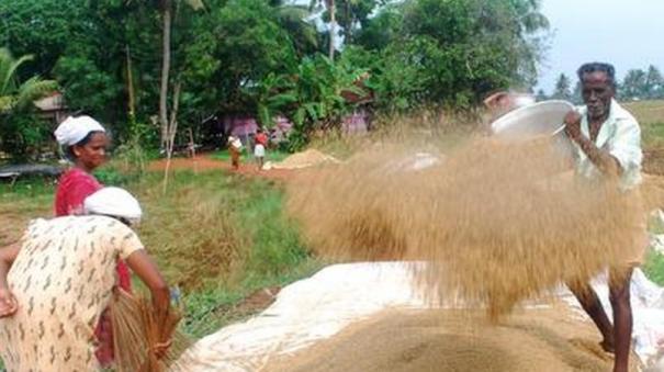 farmers-demand-govt-that-should-reconsider-the-incentive-notification-for-rice