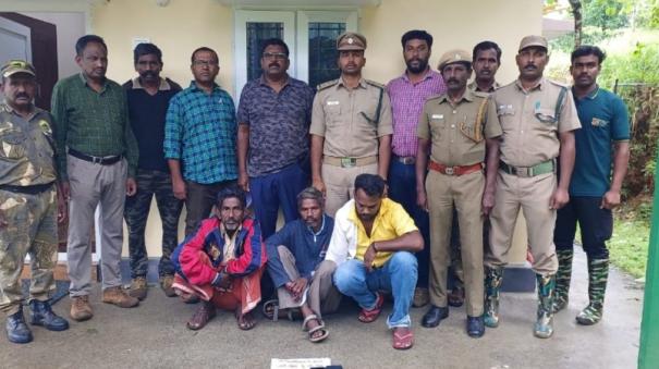 three-arrested-for-sell-tiger-claws-and-teeth-in-gudalur