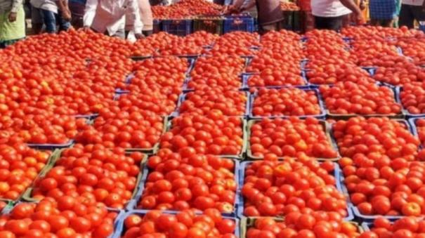 fall-in-tomoto-price-today-koyambedu-vegetable-market-price-list