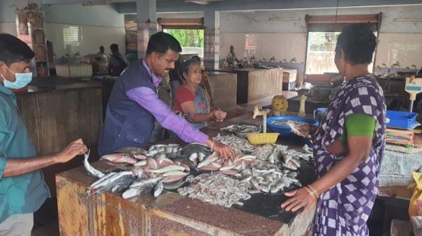 fish-mixed-with-chemicals-in-chidambaram-fish-market-officials-action-investigation