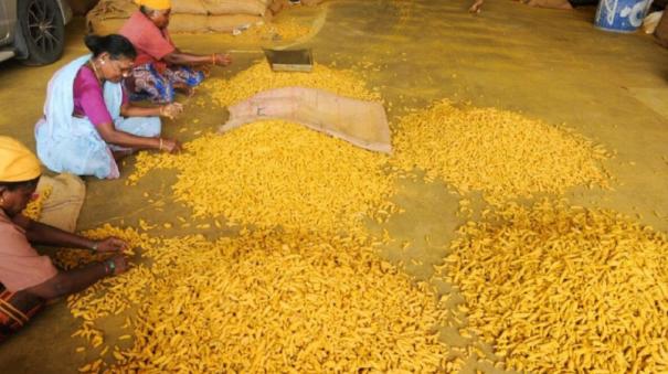 erode-turmeric-market-is-slow-due-to-lack-of-use