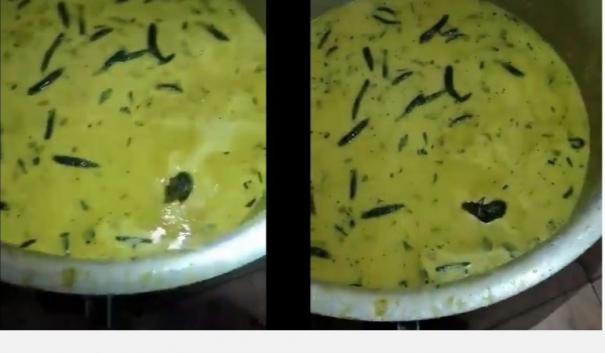 video-of-rat-swimming-in-telangana-university-hostel-chutney-saucer-goes-viral